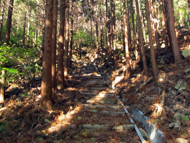 t19_332.jpg