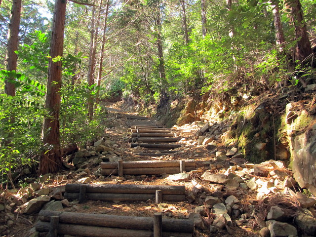 t19_333.jpg