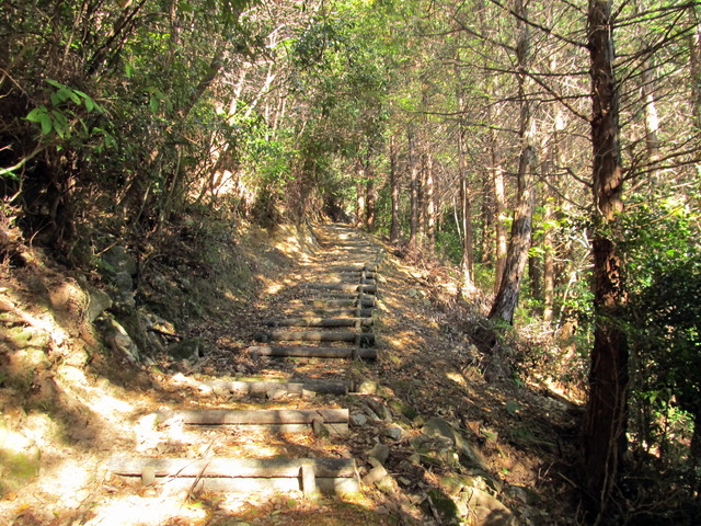 t19_334.jpg