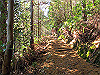 t19_335_thumb.jpg