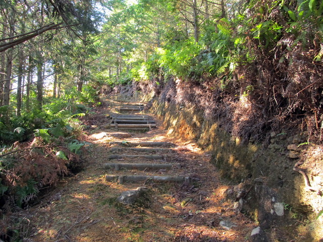 t19_336.jpg