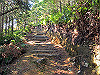 t19_336_thumb.jpg