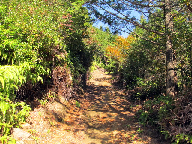 t19_338.jpg