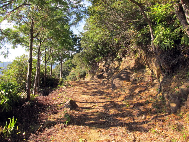 t19_339.jpg