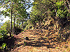 t19_339_thumb.jpg