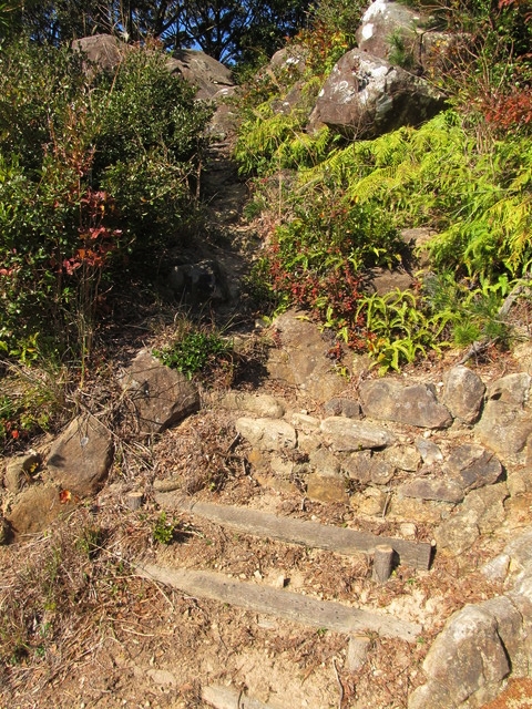 t19_341.jpg