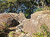 t19_342_thumb.jpg