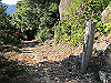 t19_345_thumb.jpg