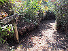 t19_347_thumb.jpg