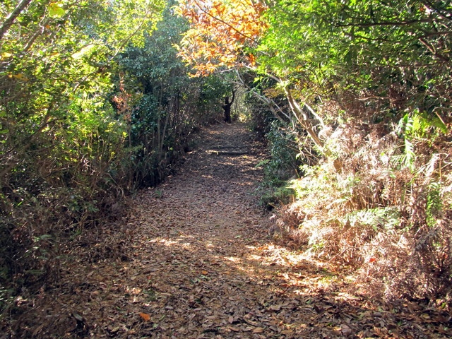 t19_348.jpg