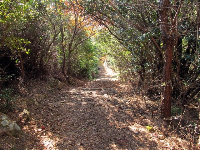 t19_349.jpg