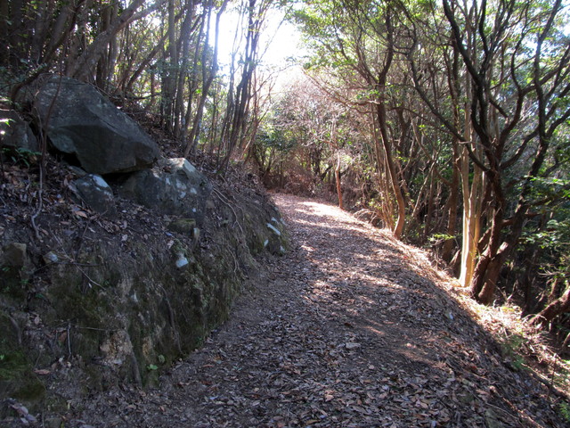 t19_351.jpg