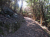 t19_351_thumb.jpg