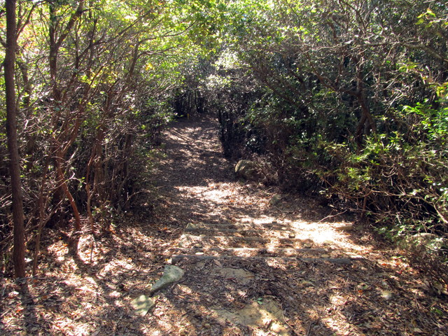 t19_353.jpg