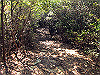 t19_353_thumb.jpg