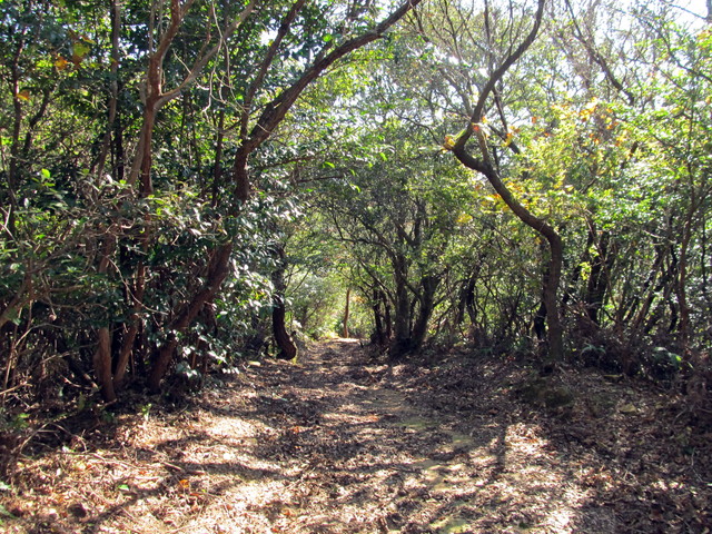 t19_356.jpg