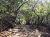 t19_356_thumb.jpg