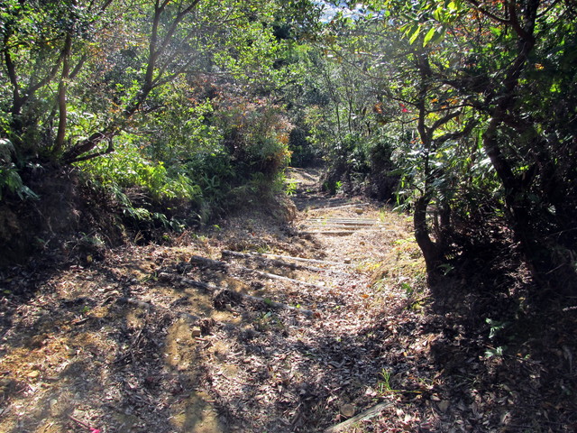 t19_357.jpg