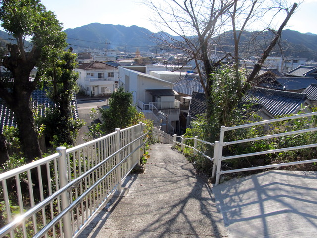 t19_366.jpg