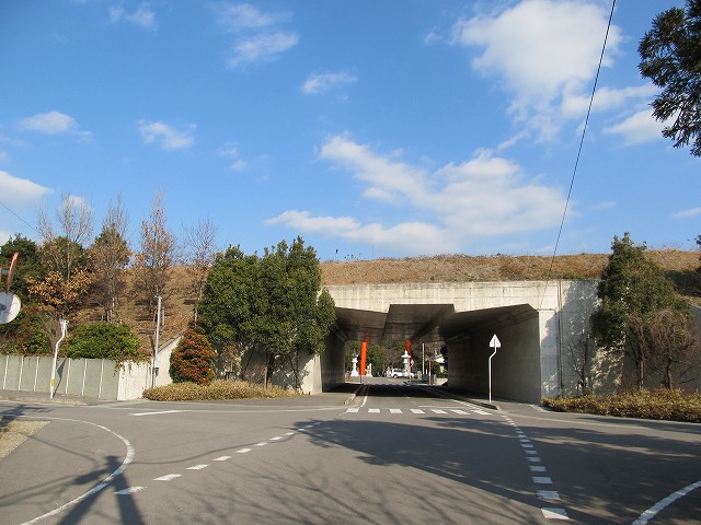 t02_004.jpg