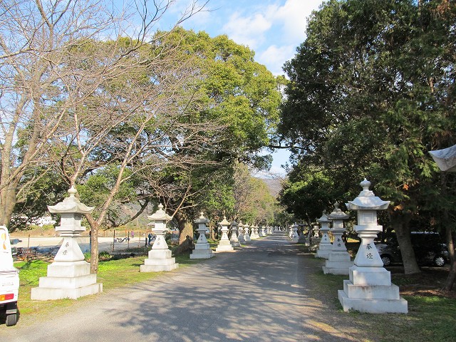 t02_006.jpg