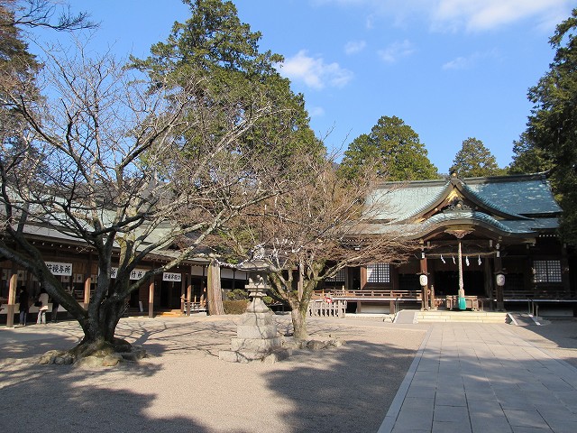 t02_009.jpg