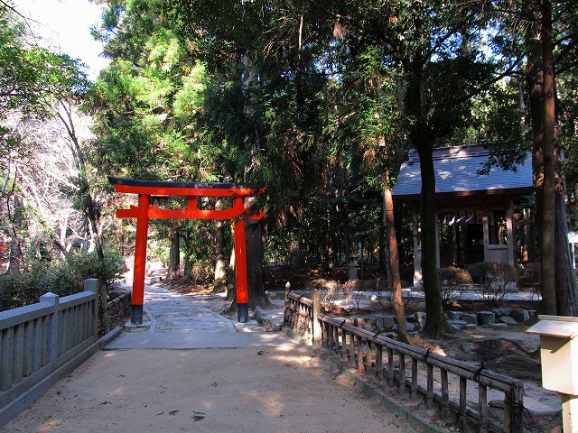 t02_010.jpg