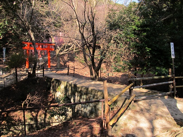 t02_011.jpg