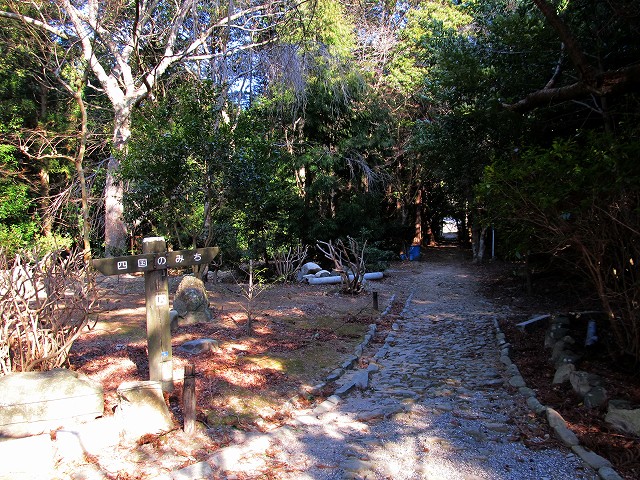 t02_013.jpg