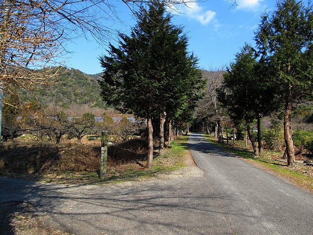 t02_014.jpg
