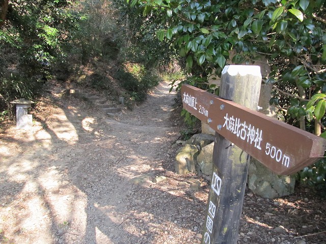 t02_017.jpg