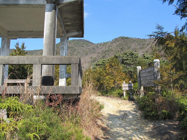 t02_019.jpg