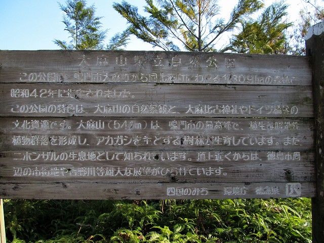 t02_020.jpg