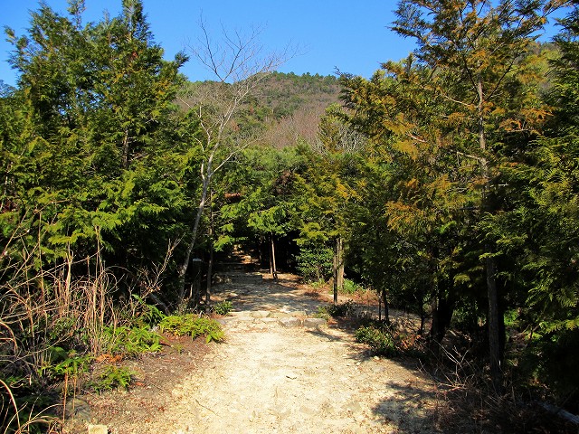 t02_021.jpg