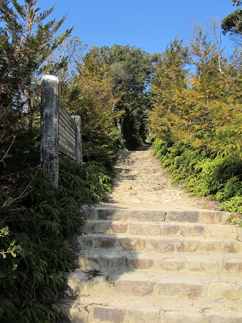 t02_024.jpg