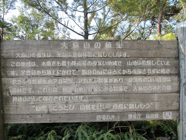 t02_025.jpg