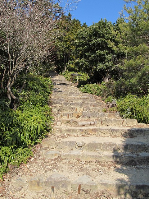 t02_026.jpg