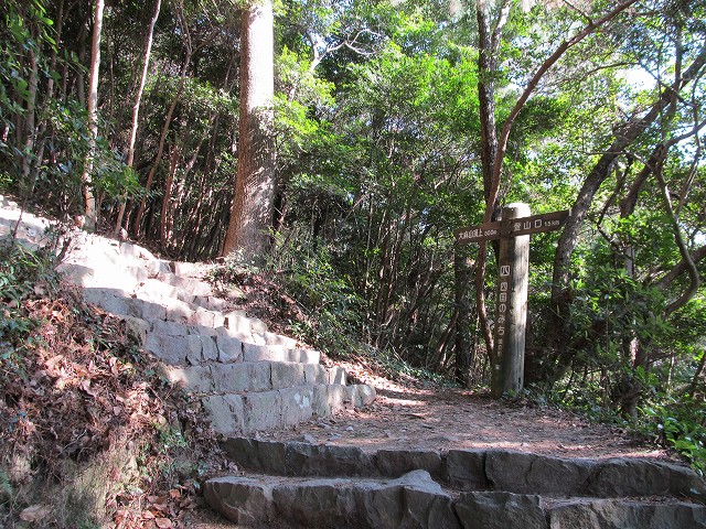 t02_027.jpg
