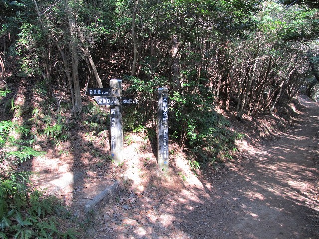 t02_028.jpg