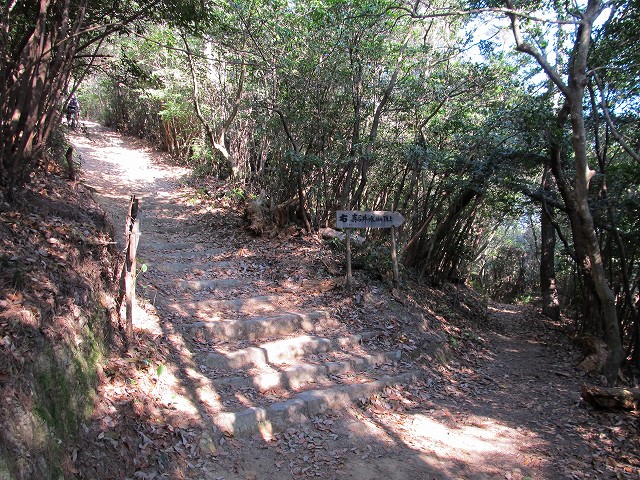 t02_029.jpg