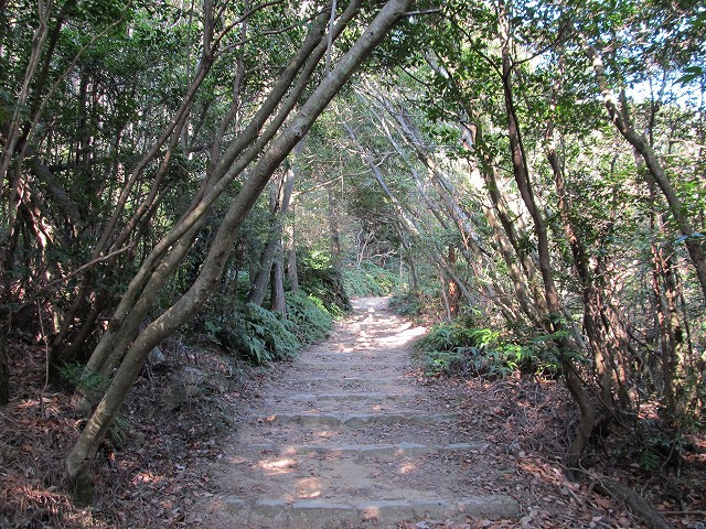 t02_030.jpg