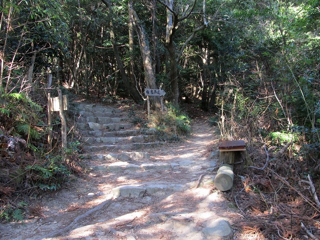 t02_032.jpg