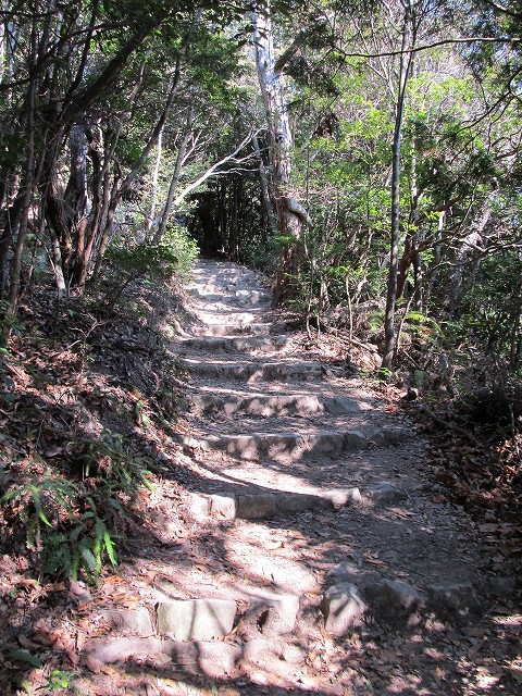 t02_033.jpg