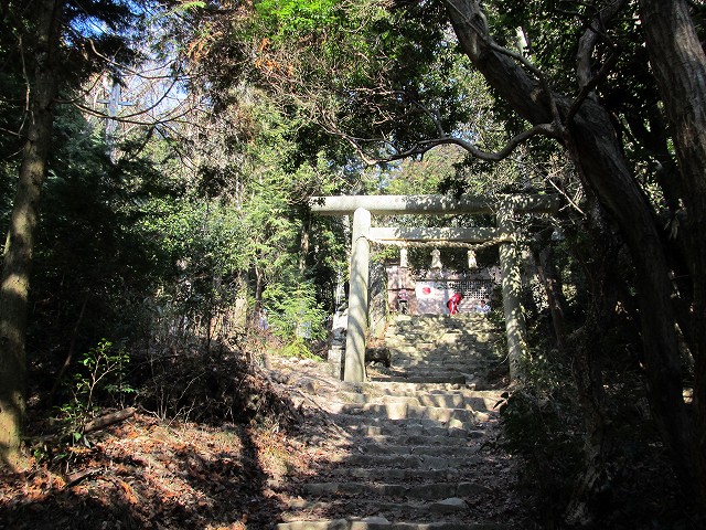 t02_034.jpg