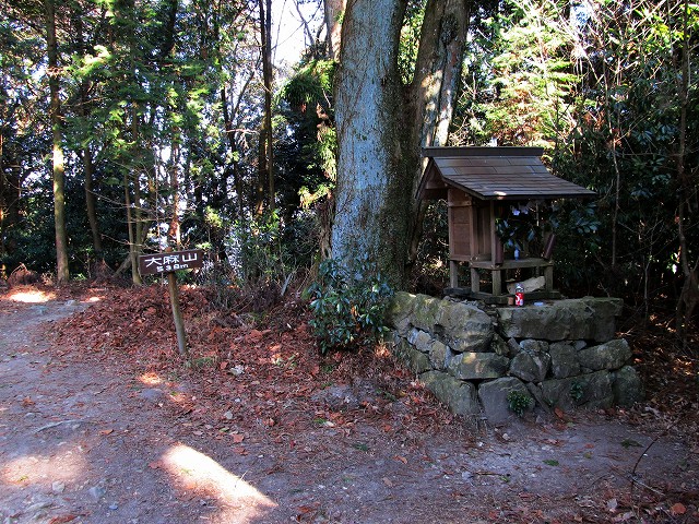 t02_036.jpg