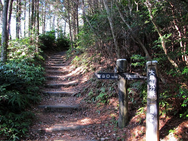 t02_037.jpg