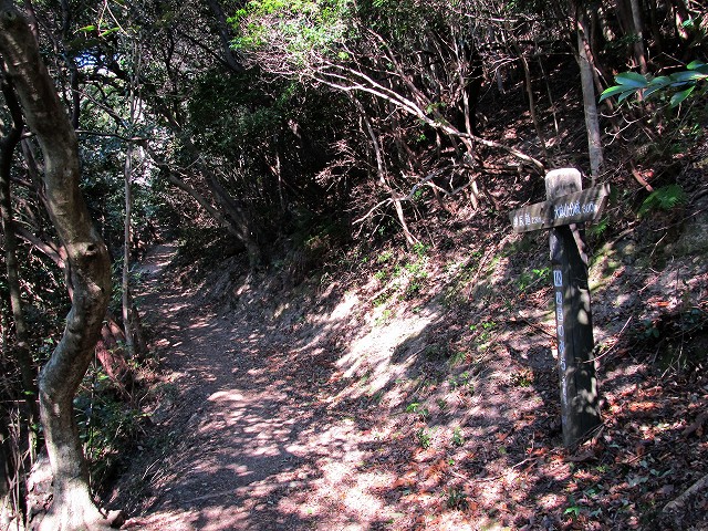 t02_039.jpg