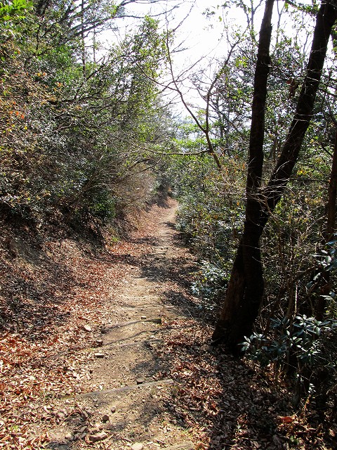 t02_041.jpg