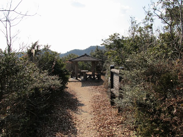 t02_049.jpg