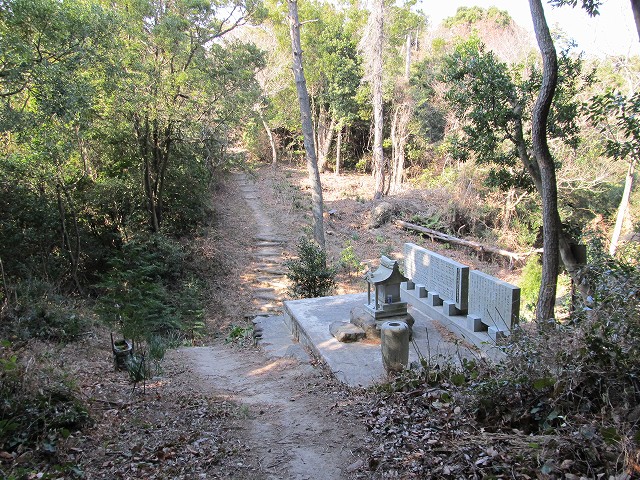t02_050.jpg